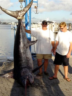 swordfish is one of the most prized saltwater fish in florida